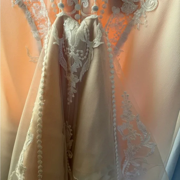 Pronovias Barcelona Cream Lace with Intricate Patterns - Picture 11 of 16